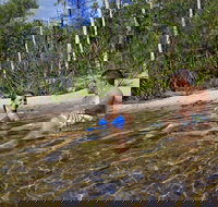 Tjaynera Falls Sandy Creek - Accommodation Brisbane