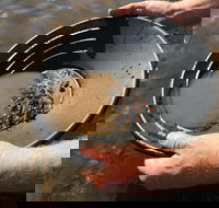 Tuena Panning for Gold - Accommodation Brisbane