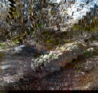 Tuross Falls walking track - Accommodation Brisbane