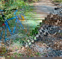 Walter Hood ride from Cudmirrah - Accommodation Brisbane