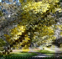 Wattle Park - Accommodation Brisbane