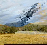 Weddin Mountains National Park - Accommodation Brisbane