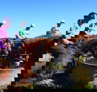 Western Plains Riding Centre - Open - Accommodation Brisbane