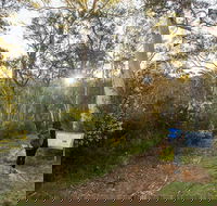 Yarrangobilly Caves  River walk - Accommodation Brisbane
