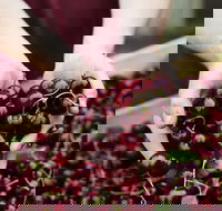 Yarra Valley Cherries - Accommodation Brisbane