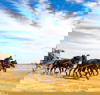 7 Day Outback Giants - Accommodation Brisbane