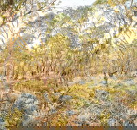 Alpine Views Walk - Accommodation Brisbane