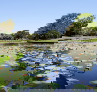 Anderson Park Botanic Gardens - Accommodation Brisbane