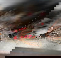 Australian Fly Fishing Museum - Accommodation Brisbane