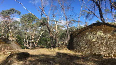 Bailey's Rocks - Dergholm State Park - Accommodation Brisbane 0