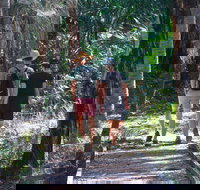 Banksia Track Burrum Coast National Park - Accommodation Brisbane