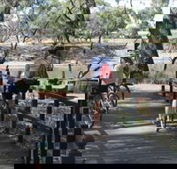 Bidgee Riverside Trail  - Hay Nature Walk - Accommodation Brisbane