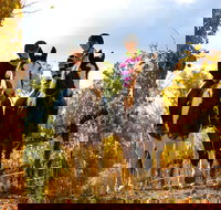 Billabong Ranch Adventure Park - Accommodation Brisbane