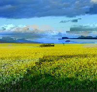 Borden - Accommodation Brisbane