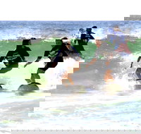 Broadbeach Surf School - Accommodation Brisbane