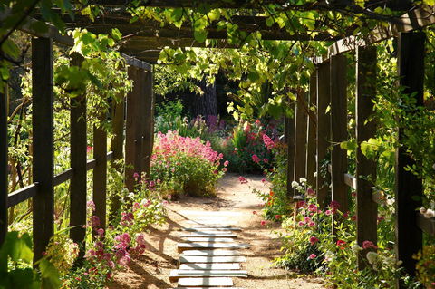 Buda Historic Home & Garden - Accommodation Brisbane 2