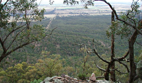Burrabadine Walking Track - Accommodation Brisbane 0