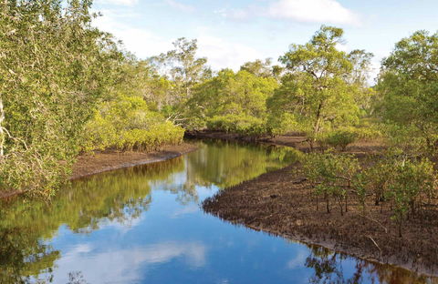 Canoe Evans River Paddle Route - Accommodation Brisbane 0