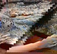 Canberra Reptile Zoo - Accommodation Brisbane