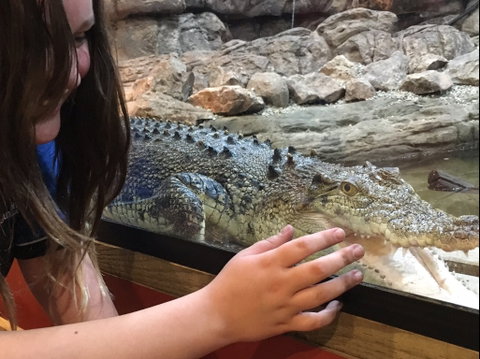 Canberra Reptile Zoo - Accommodation Brisbane 0
