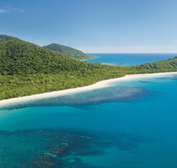 Cape Tribulation Daintree National Park - Accommodation Brisbane