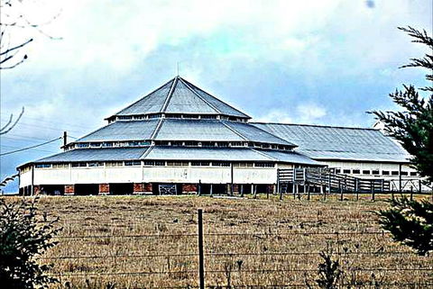 Deeargee Woolshed - Accommodation Brisbane 0