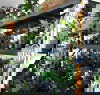 Fancy Plants - Accommodation Brisbane