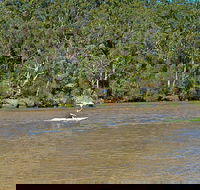Fitzpatrick Park - Accommodation Brisbane