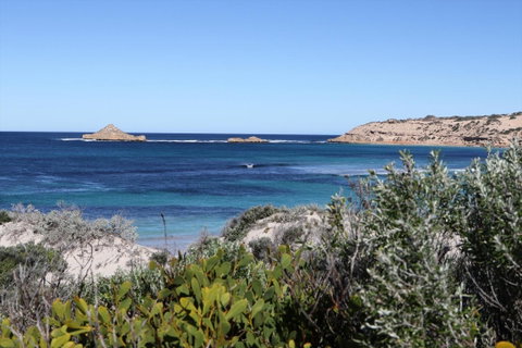 Fowlers Bay Conservation Park - Accommodation Brisbane 0