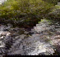 Gloucester River walking track - Accommodation Brisbane