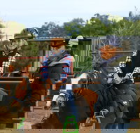 Horse Riding Lessons and Trail Rides - Accommodation Brisbane