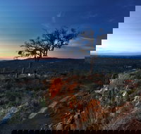 Kalamunda National Park - Accommodation Brisbane