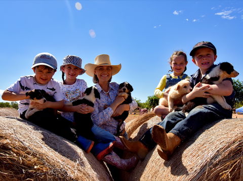 Katherine Outback Experience - Accommodation Brisbane 1