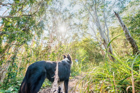Lamb Island (Nguderoo) - Accommodation Brisbane 1