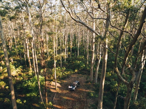 Leeuwin-Naturaliste National Park - Cowaramup - Accommodation Brisbane 0