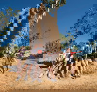 Magnetic Termite Mounds - Accommodation Brisbane