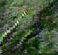 Mapleton Falls National Park - Accommodation Brisbane