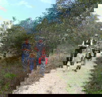 Meningie Lions Walking Trail - Accommodation Brisbane