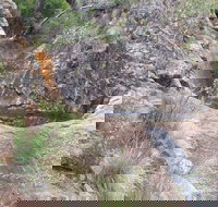 Mill-bullah Walking Track - Accommodation Brisbane