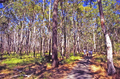 Moogerah Peaks National Park - Accommodation Brisbane 1