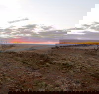 Mundi Mundi Plains - Accommodation Brisbane