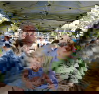 Murwillumbah Farmers' Market - Accommodation Brisbane