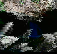 Natural Bridge Circuit Springbrook National Park - Accommodation Brisbane