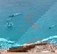 Nullarbor National Park - Accommodation Brisbane