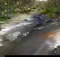 Nymboi-Binderay National Park - Accommodation Brisbane
