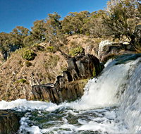 Oxley Walking Track - Accommodation Brisbane