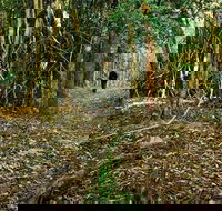 Sand track walk north - Accommodation Brisbane