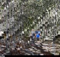 Six Mile Creek Bluff Lookout and Little White Rock Trails - Accommodation Brisbane