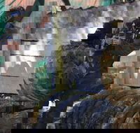 Skirmish Sunshine Coast Outdoor Paintball - Accommodation Brisbane