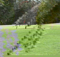 Springwood Country Club - Accommodation Brisbane